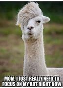 Image result for LOL Hilarious Animal Memes