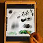 Image result for Procreate Drawing App