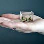 Image result for World's Smallest Fish Tank