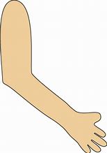 Image result for Curved Arm Clip Art