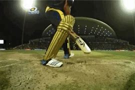 Image result for Bowled Out in Cricket GIF