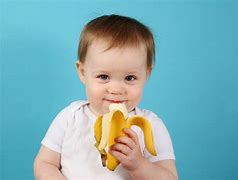 Image result for Fruit Bat Eating Banana