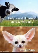 Image result for Holy Cow That's Lit Meme
