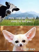 Image result for It's a Holy Cow Meme