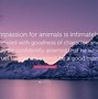 Image result for Compassion for Animals Quotes