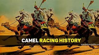 Image result for camel racing history