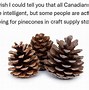 Image result for Canada Snow Meme