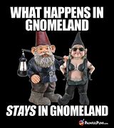 Image result for Black Gnome Meme