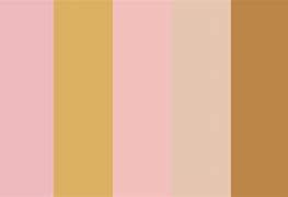 Image result for Yellow Rose Gold Color