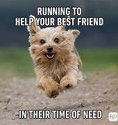 Image result for BFF Memes Cute