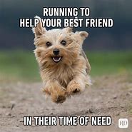 Image result for Memes About Having Great Friendship