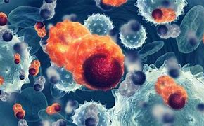 Image result for G4 vs G3 Immunotherapy