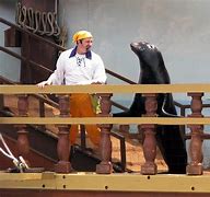 Image result for seaworld san antonio