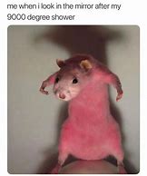 Image result for Cursed Rat Meme