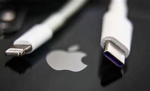 Image result for Apple USB-C to Lightning Cable