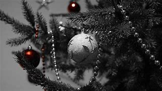 Image result for Black and White Christmas Background