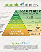 Image result for Organic Org Structure