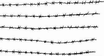 Image result for Barbed Wire Fence Texture