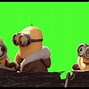 Image result for Minion Green Pis