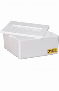 Image result for Styrofoam Cooler with Ice
