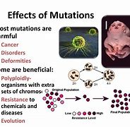 Image result for Gene Mutation Disease