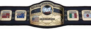 Image result for NWA TNA World Championship
