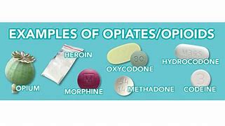 Image result for Opioid Memes