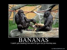 Image result for Monkey Banana Meme