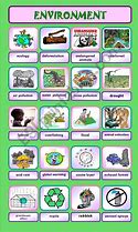 Image result for Environmental Words
