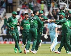 Image result for Cricket World Cup Wins