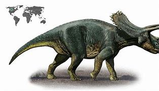 Image result for Anchiceratops