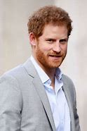 Image result for Prince Harry Duke of Sussex Uniform