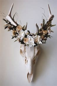 Image result for deer skulls decorations