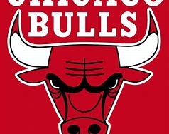 Image result for Chicago Bulls Logo History