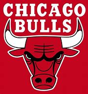 Image result for Chicago Bulls Old Logo