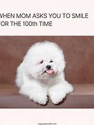 Image result for Funny Dog Smile Meme