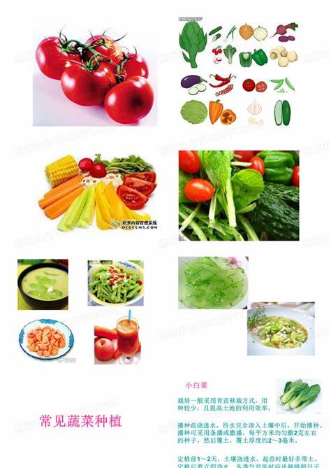 常见蔬菜种植习性说明