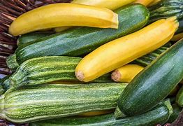 Image result for Green Squash Vegetable