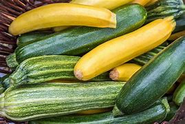 Image result for Types of Mexican Squash