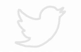 Image result for Twitter Logo BW
