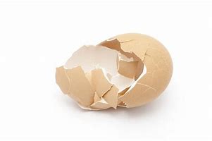 Image result for Cracked Egg Shell