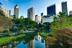 Image result for Apple Store New York City Central Park