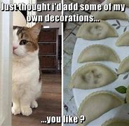 Image result for Cat Memes This Week