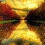 Image result for Autumn Background