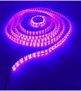 Image result for LED Neon Purple