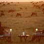 Image result for Luxury Kenya Safari