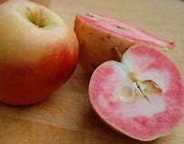 Image result for Ornamental Pink-Fleshed Apple
