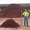 Image result for 1 Yard Mulch