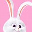 Image result for Animated Kawaii Bunny