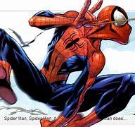 Image result for Spider-Man Back